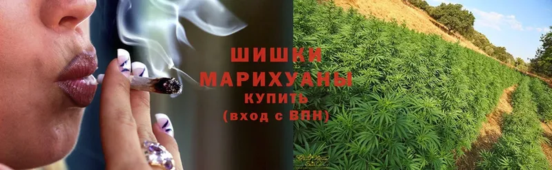 Шишки марихуана SATIVA & INDICA  наркошоп  Можга 